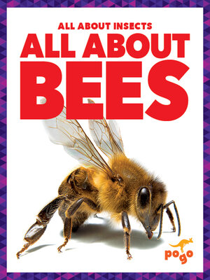 cover image of All About Bees
